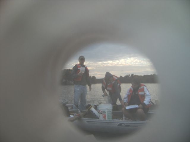 fieldlimn08__127_.jpg